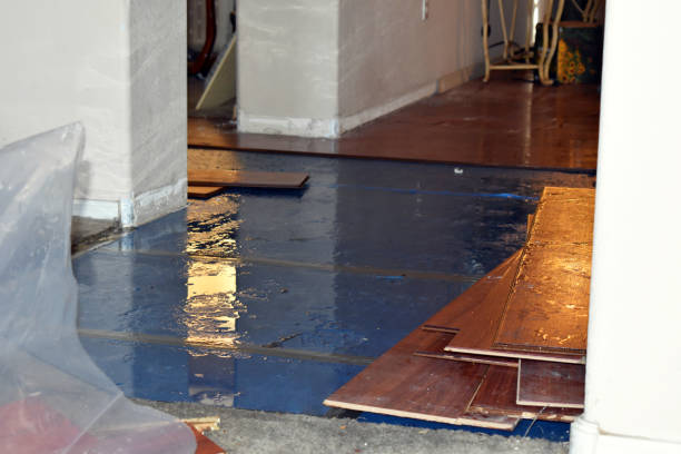 Professional Water Removal technician working in Hinckley, IL